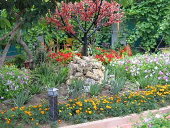     -- MALIBU Garden Palm