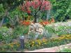     -- MALIBU Garden Palm
