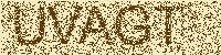 Input code